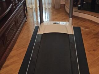 Беговая дорожка.