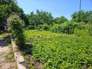 Полдома в тихом месте центра. Недорого.