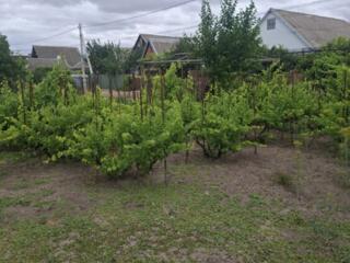 Продам участок