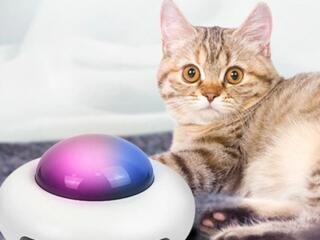 Интеллектуальная игрушка для кошек НЛО