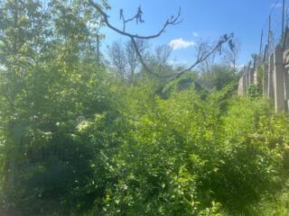 Перекопка огорода в т. ч. и уборка за отдельную плату