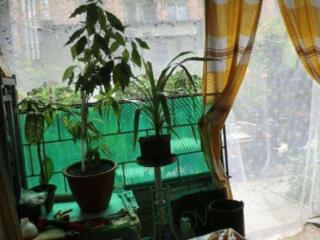 №1656. . . Предлагаем к продаже 1-комнатную ...