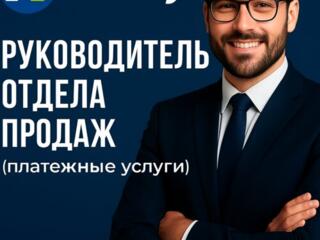 Руководитель отдела продаж платежных услуг