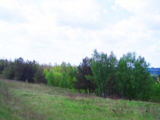 продаж ділянка під житлову забудову Обухівський, Васильків, 12000 $