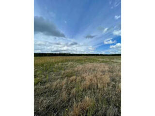 продаж ділянка сільськогосподарського призначення Вишгородський, Абрам