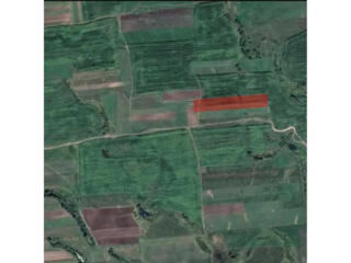 продаж ділянка сільськогосподарського призначення Сарненський, Немович