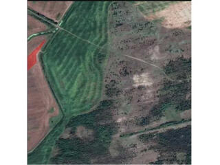 продаж ділянка сільськогосподарського призначення Сарненський, Немович