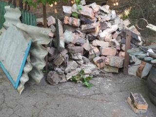 Бут кирпичный.