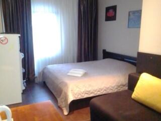 7-ми комнатная квартира с евроремонтом в новом сданном доме в Аркадии