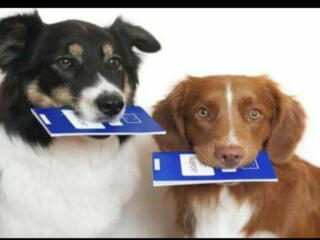 Оформление документов для выезда за границу