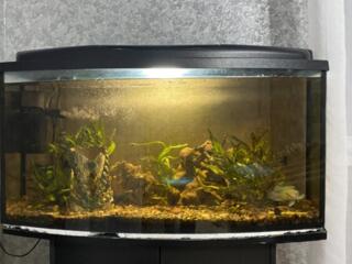 Продается аквариум!