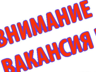 Требуется руководитель!!!