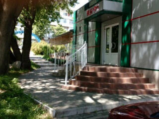 Продается стационарное кафе с террасой, расположенное в парке, у реки.