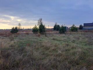 продаж ділянка під житлову забудову Броварський, Залісся, 11000 $