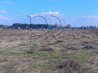 продаж ділянка під житлову забудову Вишгородський, Хотянівка, 22500 $