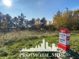 Spre vânzare se oferă teren agricol, situat în Criuleni. ...