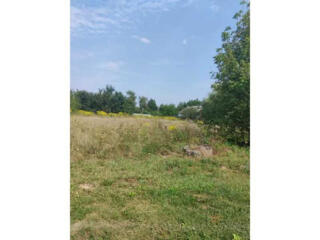 продаж ділянка під житлову забудову Фастівський, Малютянка, 404460 грн