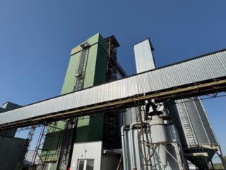 Ягодная ферма, без комиссии