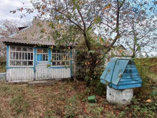 продаж 3-к будинок Бучанський, Плахтянка, 18000 $