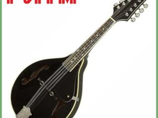 Мандолина ROGUE RM-100A в м. м. "РИТМ"