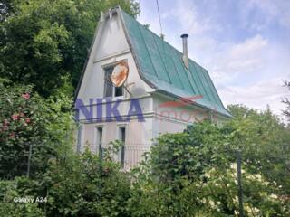 Дубоссарский р-н, село Пырыта