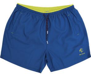 Мужские шорты большого размера для плавания.