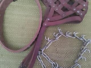 На большую собаку