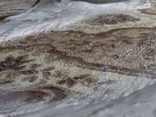 Профессиональная стирка ковров — чистота, которую видно!