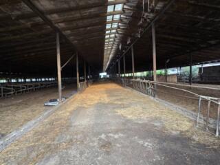 Spre vânzare ferma de vite pe 8,2 ar pământ privat Calarași