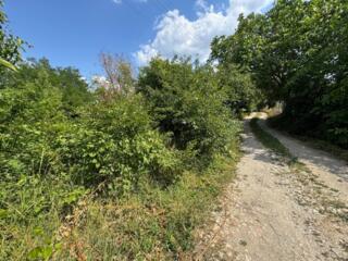 Teren pomicol (extravilan) cu o suprafață de 6 ari în Mun. Chisinau!