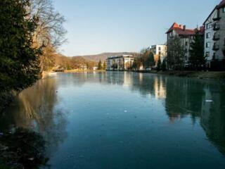 продаж 1-к квартира Свалявський, Поляна, 72000 $