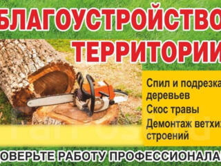 Разбор, демонтаж, спил деревьев, вывоз мусора, зачистка участка!