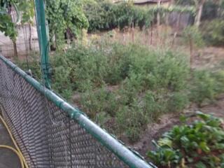 Дом, где хочется остаться!