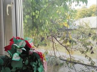 СРОЧНО! Продам 3 комн. кв., +Гараж+Подвал+Огород!