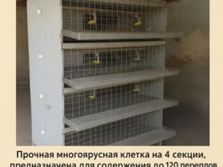 Клетка для перепелов