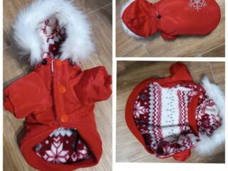 Одежда для мелких собак или щенков
