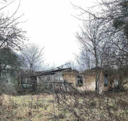 продаж приміщення вільного призначення, будівлі Гадяцький, Сари, 15602