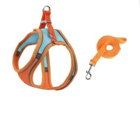 Новая шлейка