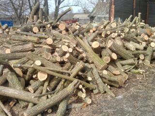 Дрова твердых пород