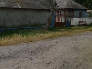 Продам 2 дома на участке 10 соток, в с. Ержово