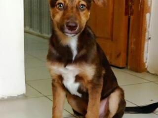 Просим помочь найти