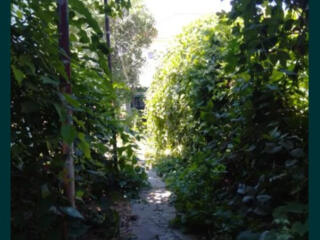 Дом  в районе  Молодой Гвардии