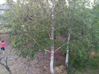 Участок верхний БАМ Варница