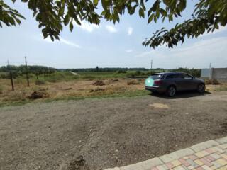 БОТАНИЧЕСКИЙ САД, район НИИ