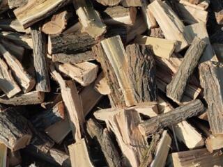 Дрова Акации сухие, колотые! С доставкой по Приднестровью!