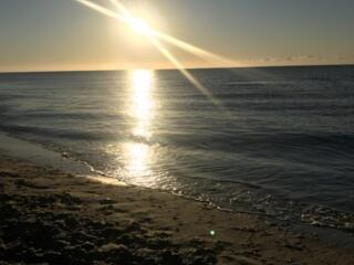 Здам подобово квартиру в Одесi. Вул. Дача Ковалевського. Перша лінія