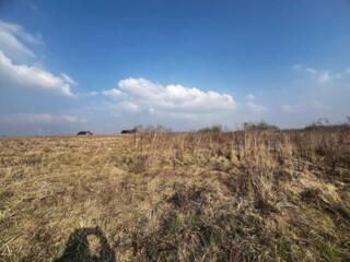 продаж ділянка під житлову забудову Яворівський, Домажир, 14500 $