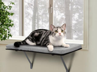 Кровать-полка для кошачьего сна с бархатной подушкой