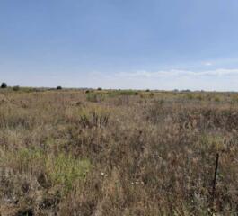 продаж ділянка сільськогосподарського призначення Бориспільський, Іван