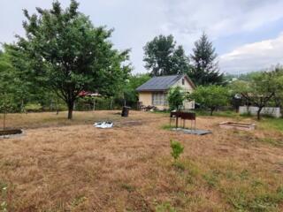 Продаётся дачный участок с домиком в Мэринештах.